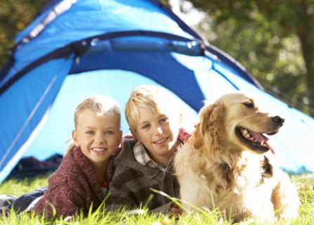 Camping De Baignes Hotel Bagian luar foto